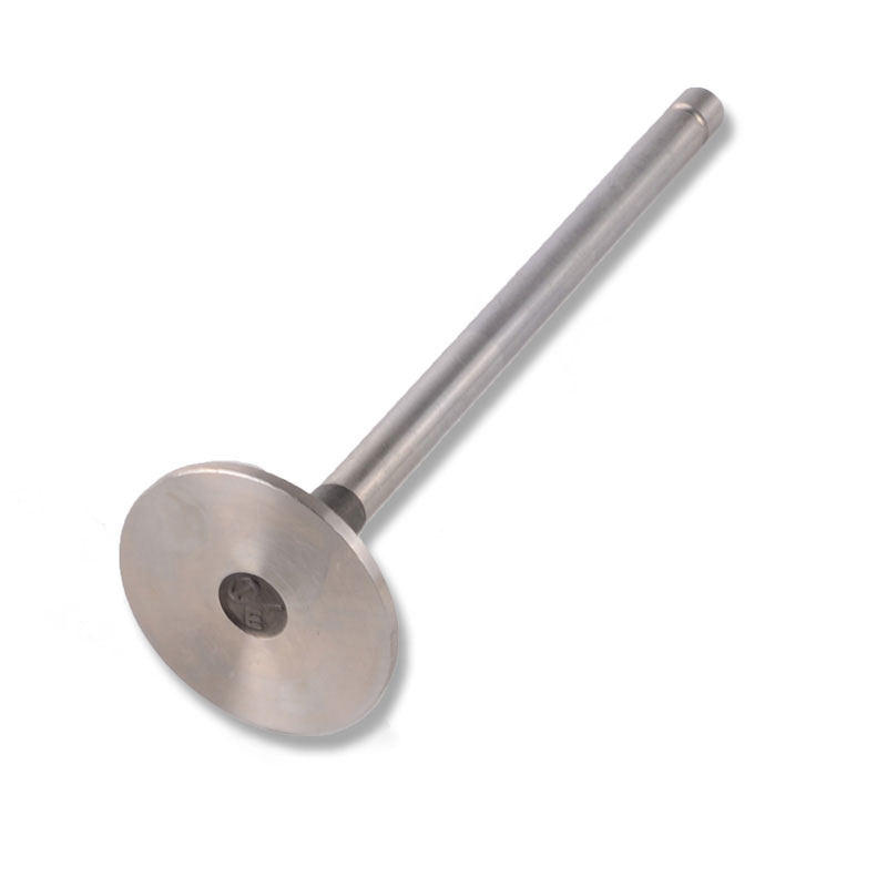Kompatibel mit 24502 Enging Valve