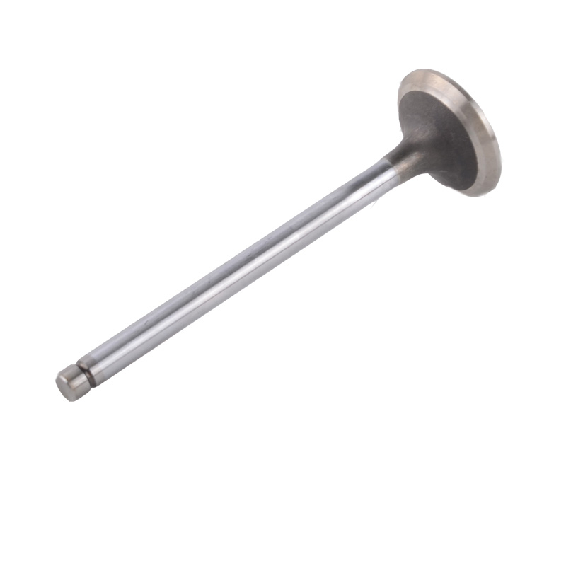 Kompatibel mit 24504 Enging Valve