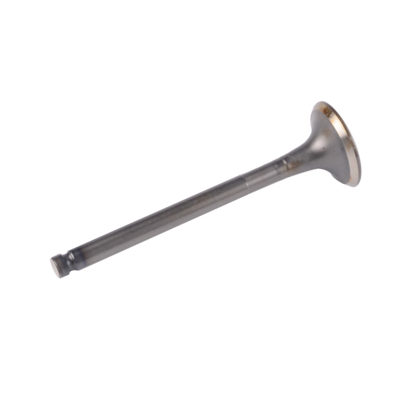 Kompatibel mit 24518 Enging Valve