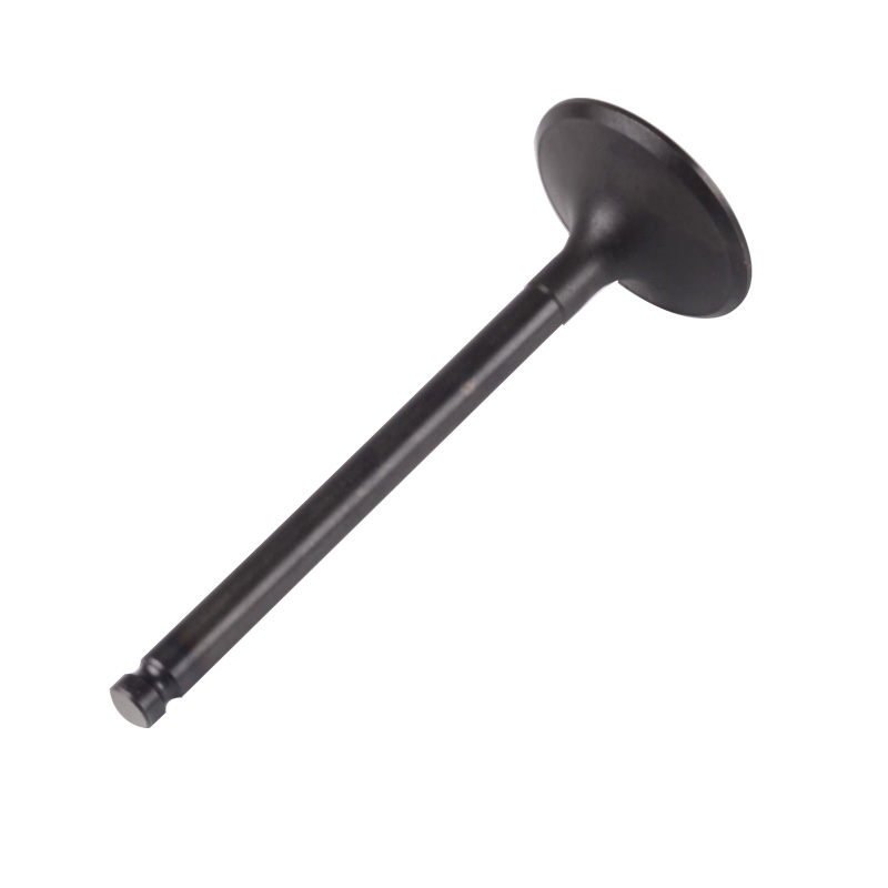 Kompatibel mit 24519 Enging Valve