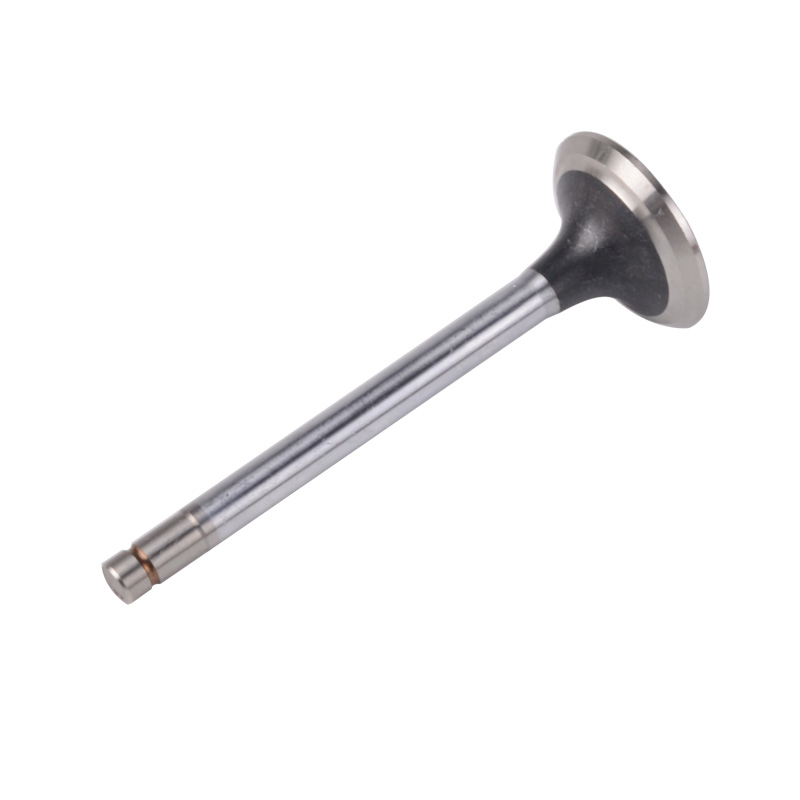 Kompatibel mit 24528 Enging Valve
