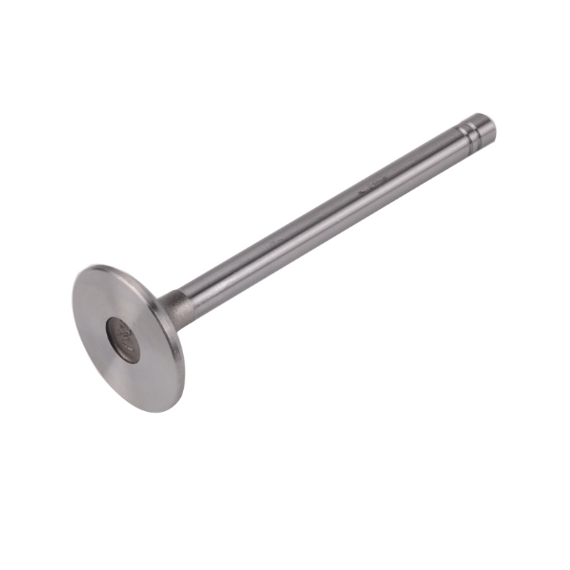 Kompatibel mit 24529 Enging Valve