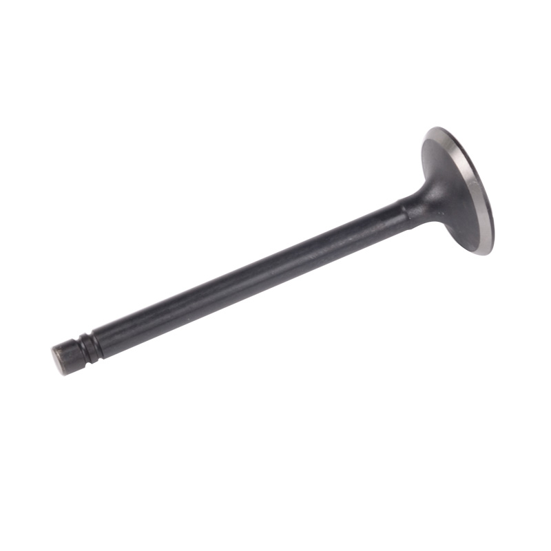 Kompatibel mit 24531 Enging Valve