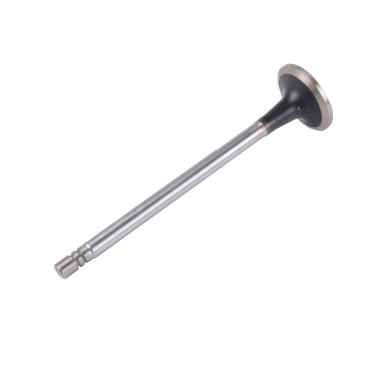 Kompatibel mit 24534 Enging Valve