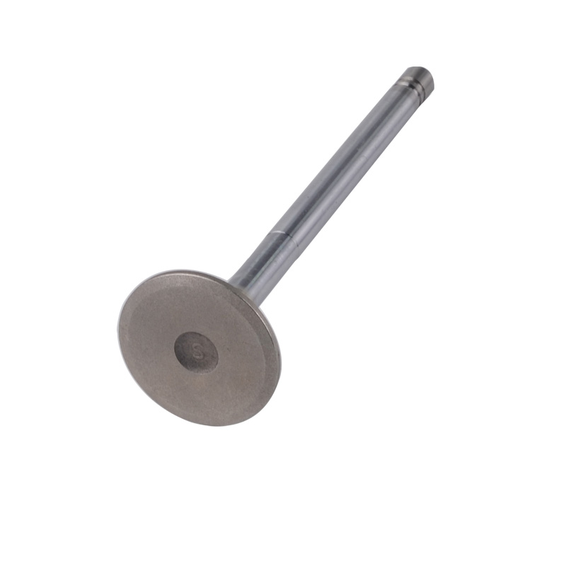 Kompatibel mit 24536 Enging Valve