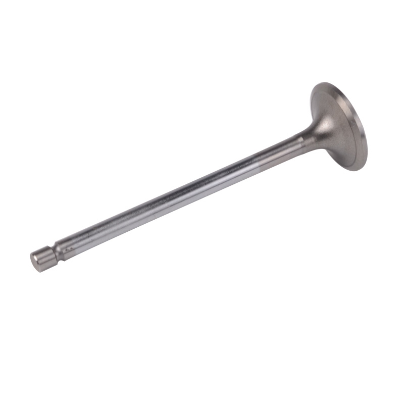 Kompatibel mit 24537 Enging Valve