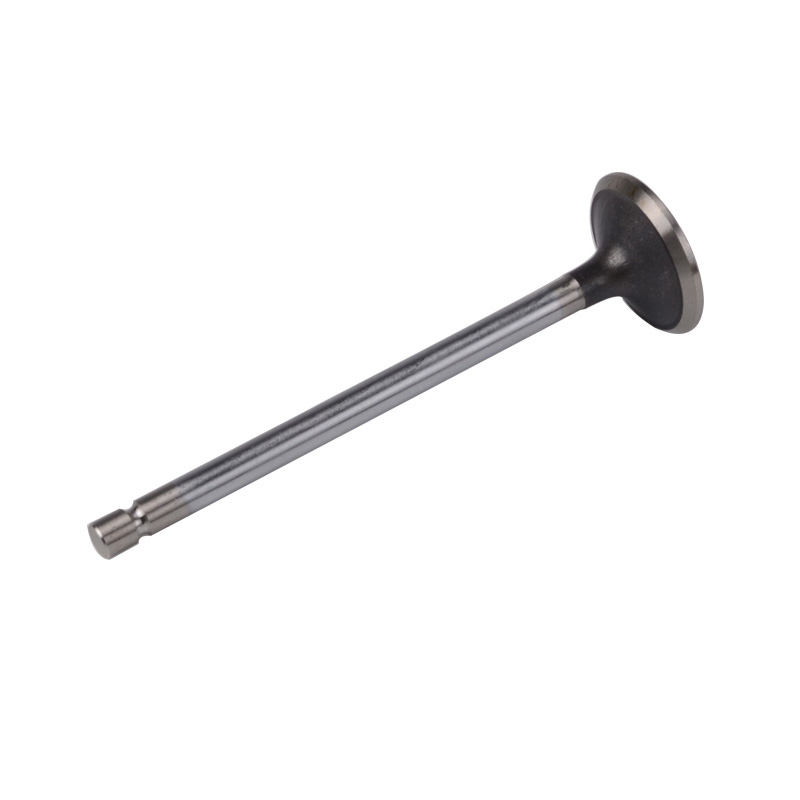 Kompatibel mit 24538 Enging Valve