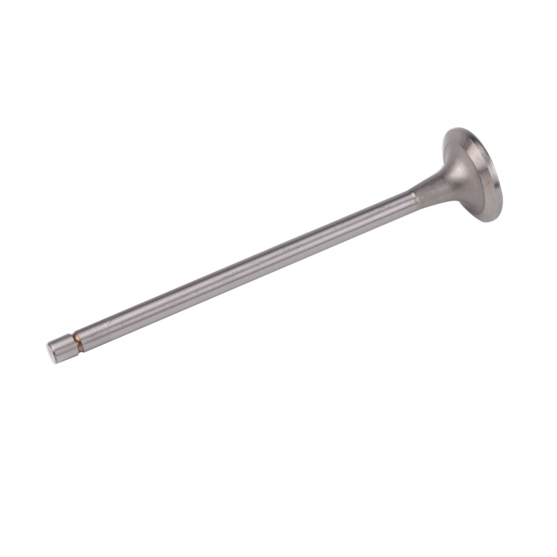 Kompatibel mit 24541 Enging Valve