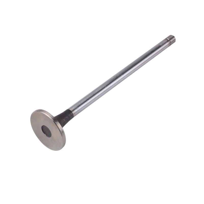 Kompatibel mit 24542 Enging Valve