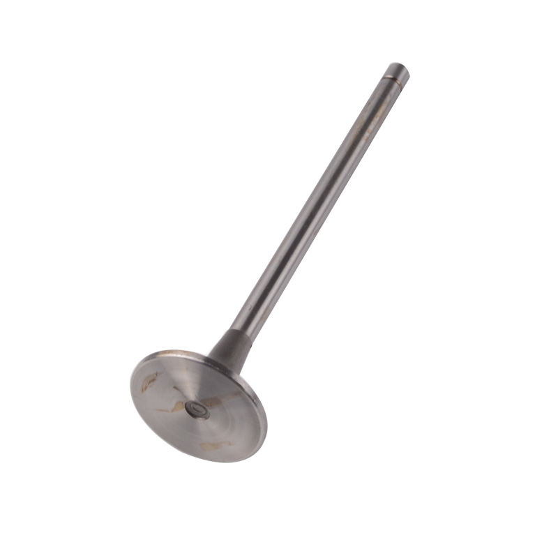 Kompatibel mit 24543 Enging Valve