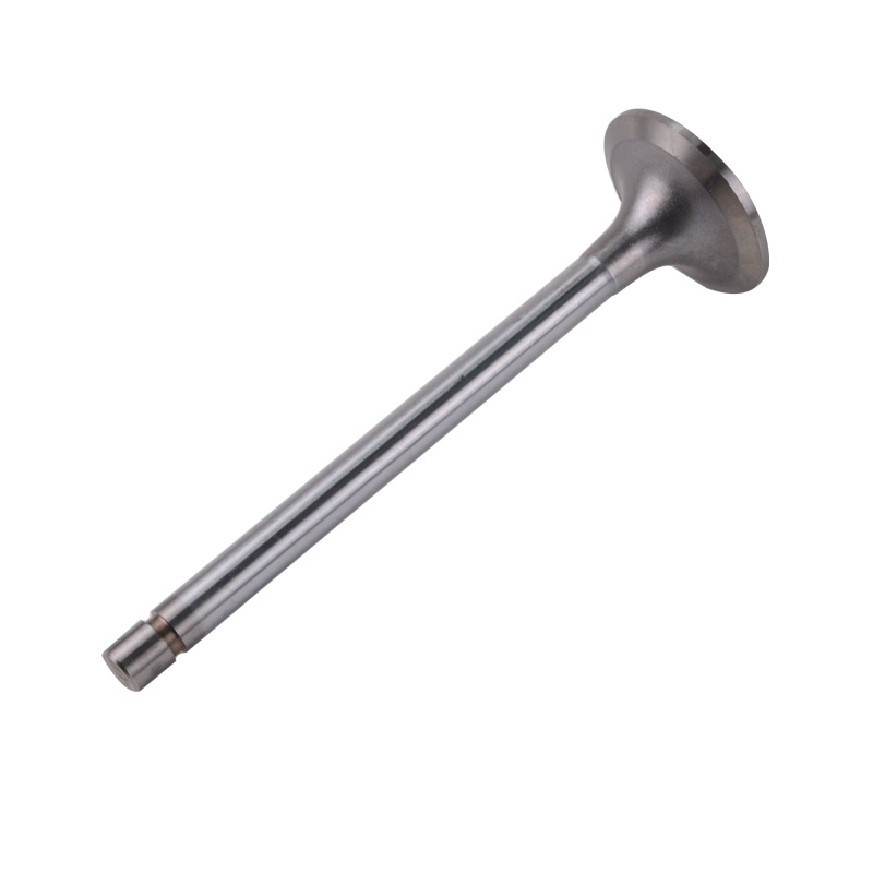 Kompatibel mit 24545 Enging Valve