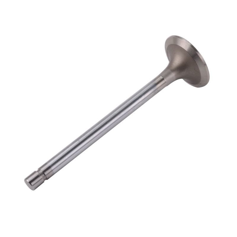 Kompatibel mit 24546 Enging Valve