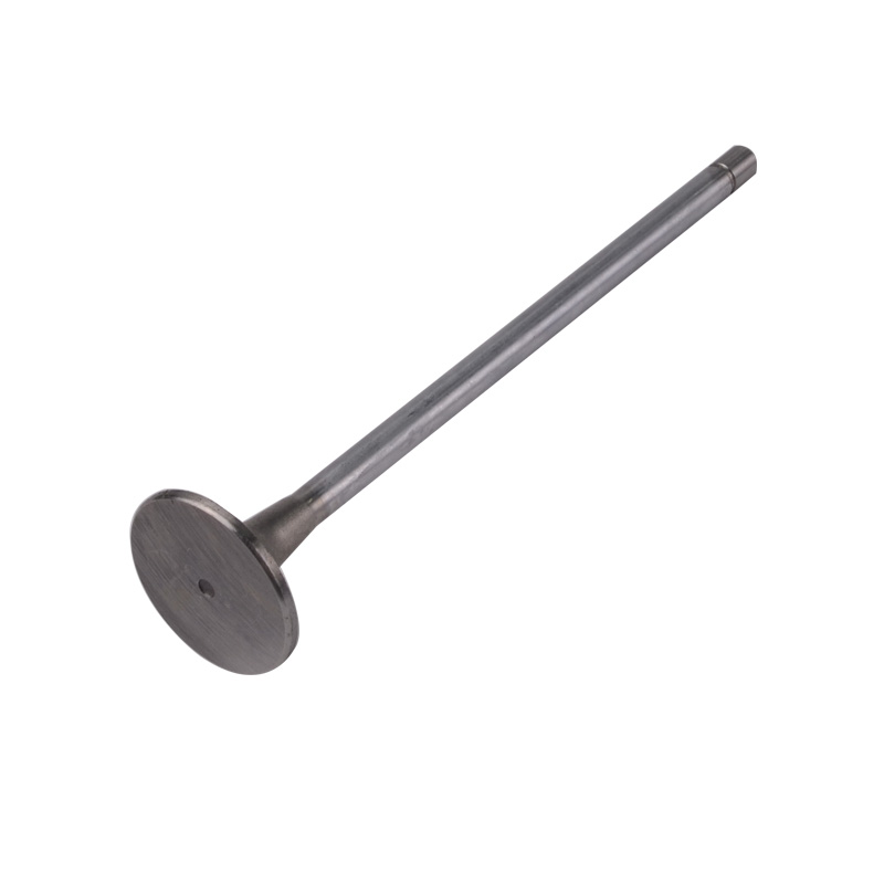 Kompatibel mit 24547 Enging Valve