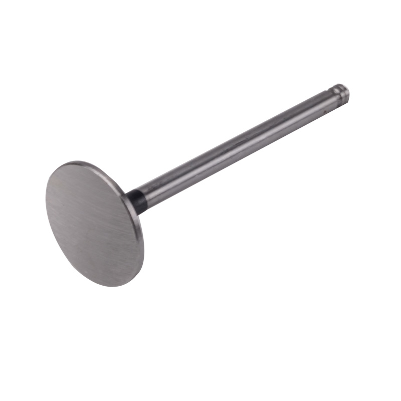 Kompatibel mit 24549 Enging Valve