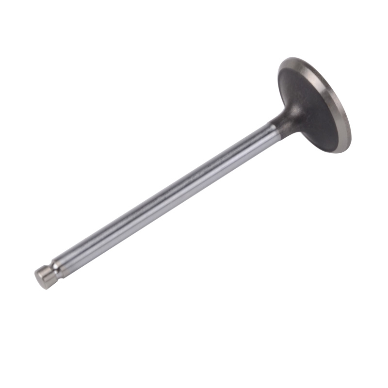 Kompatibel mit 24550 Enging Valve