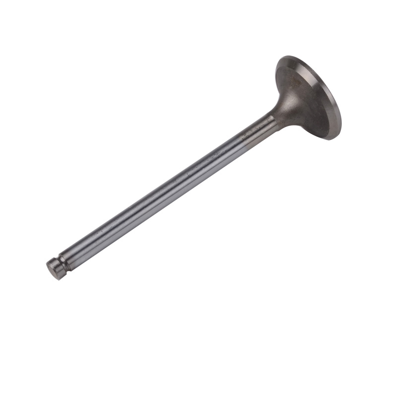 Kompatibel mit 24552 Enging Valve