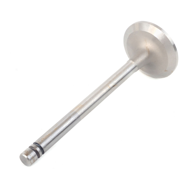 Kompatibel mit 24554 Enging Valve