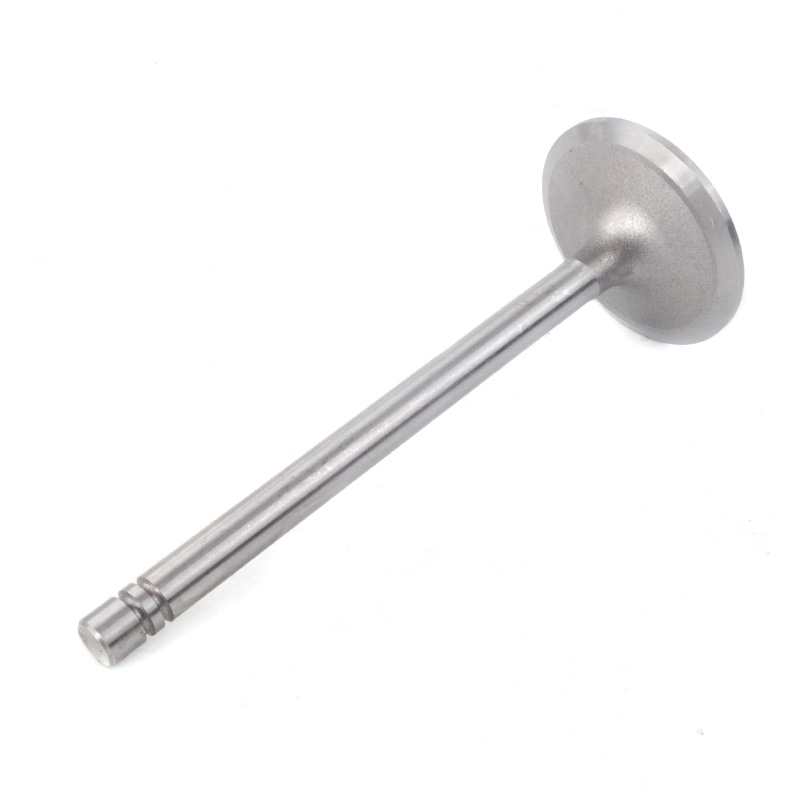Kompatibel mit 24555 Enging Valve