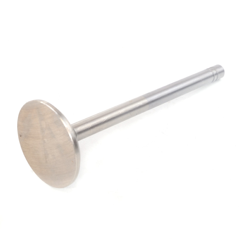 Kompatibel mit 24556 Enging Valve