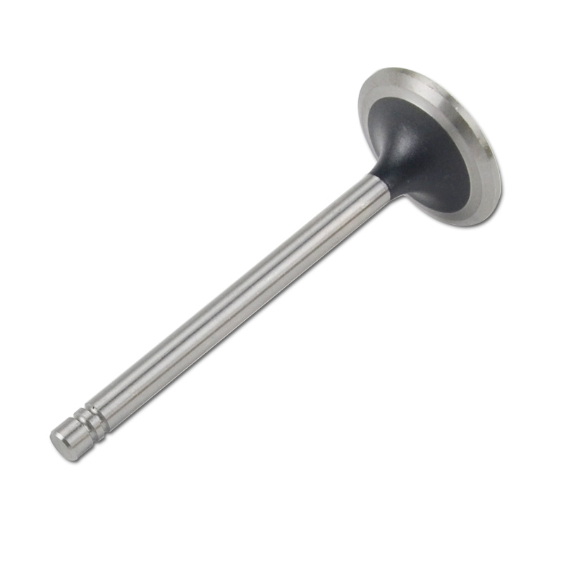 Kompatibel mit 24557 Enging Valve