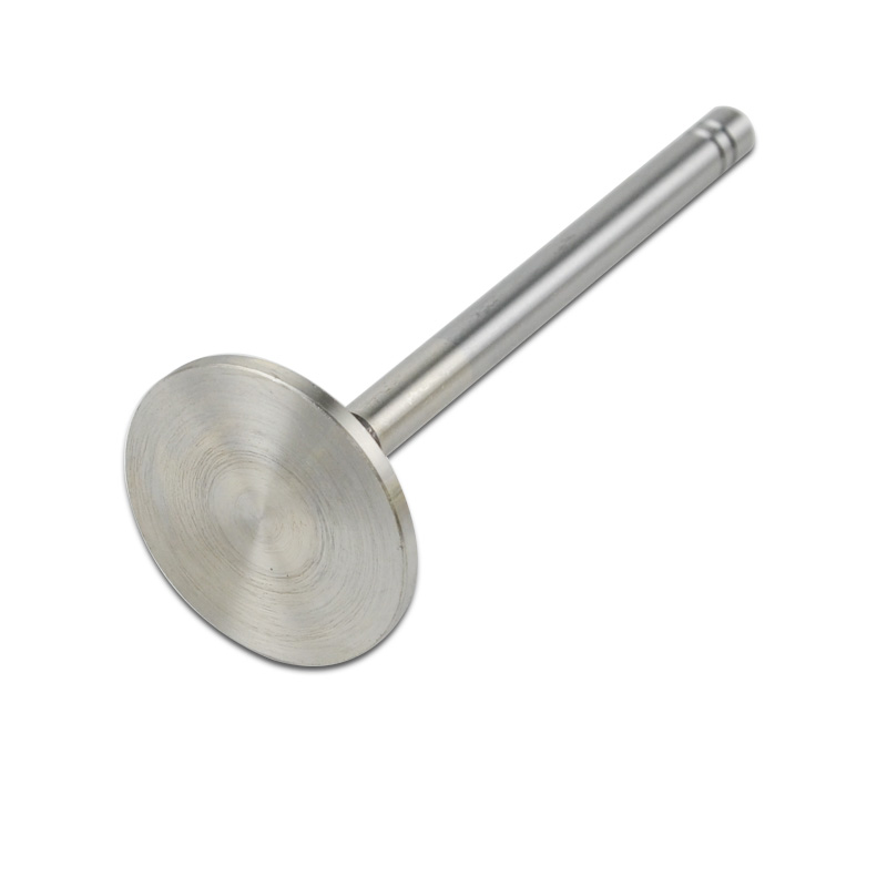 Kompatibel mit 24558 Enging Valve