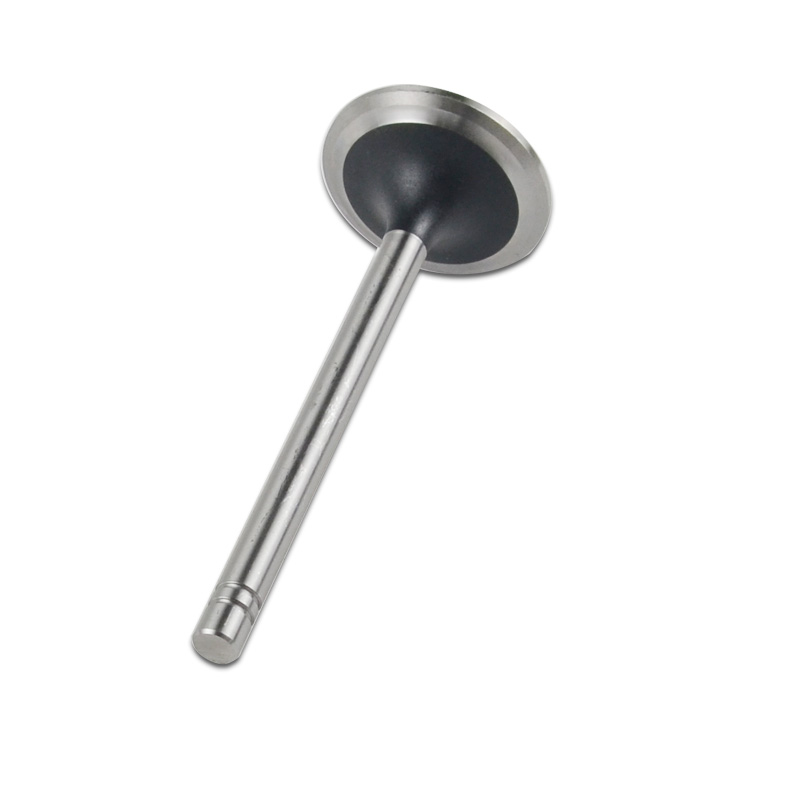Kompatibel mit 24559 Enging Valve