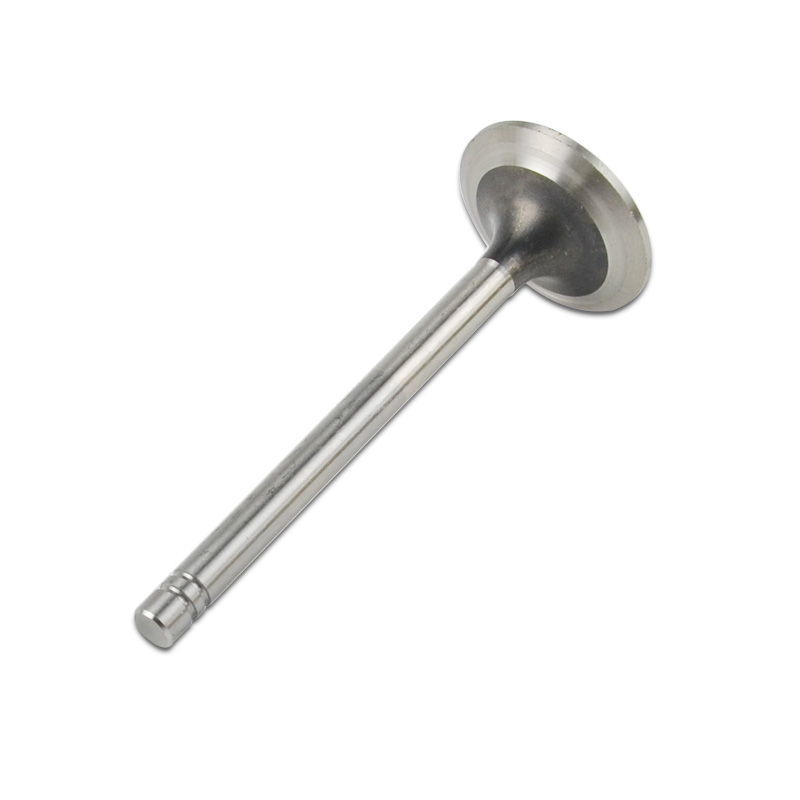 Kompatibel mit 24560 Enging Valve