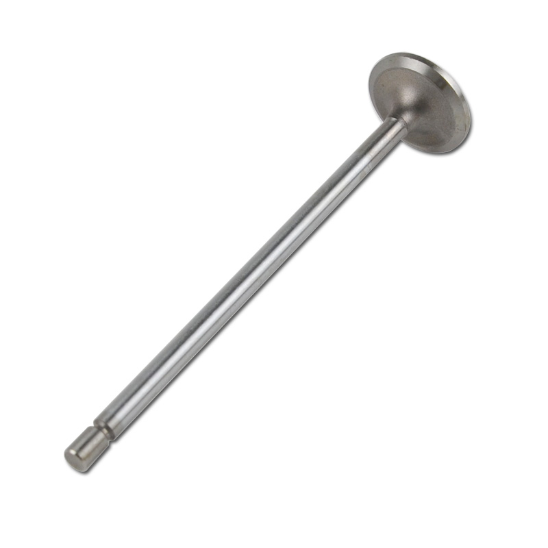 Kompatibel mit 24563 Enging Valve