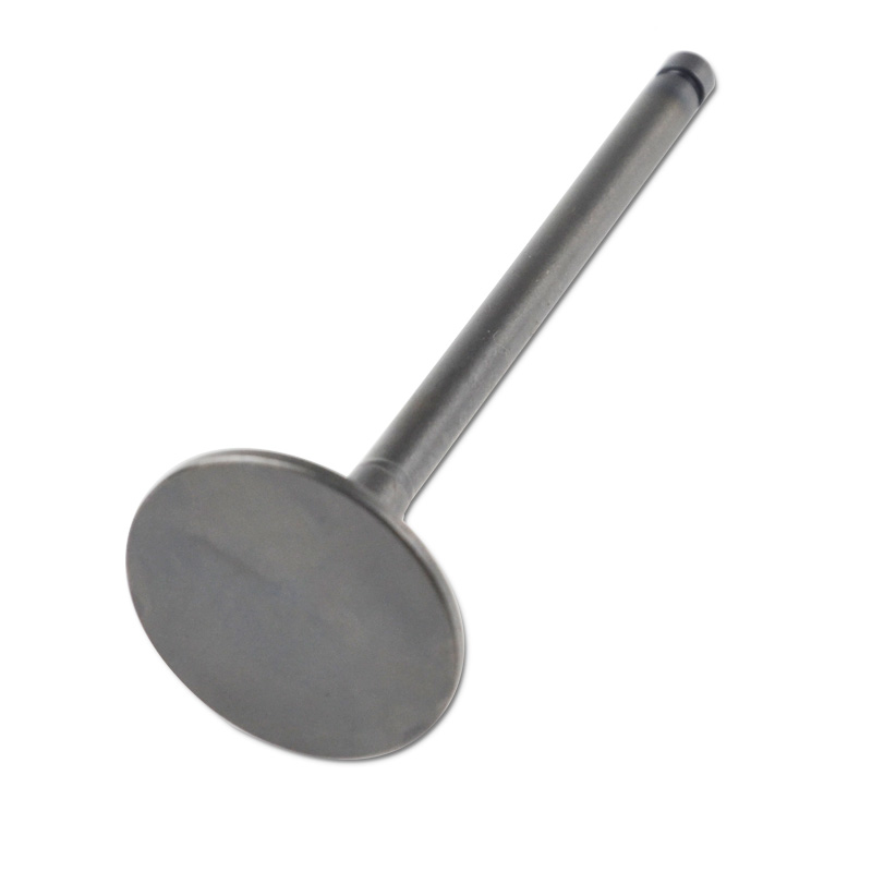 Kompatibel mit 24569 Enging Valve