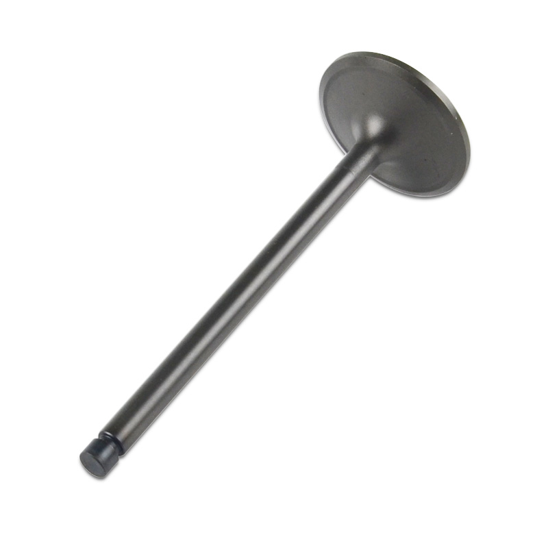 Kompatibel mit 24571 Enging Valve