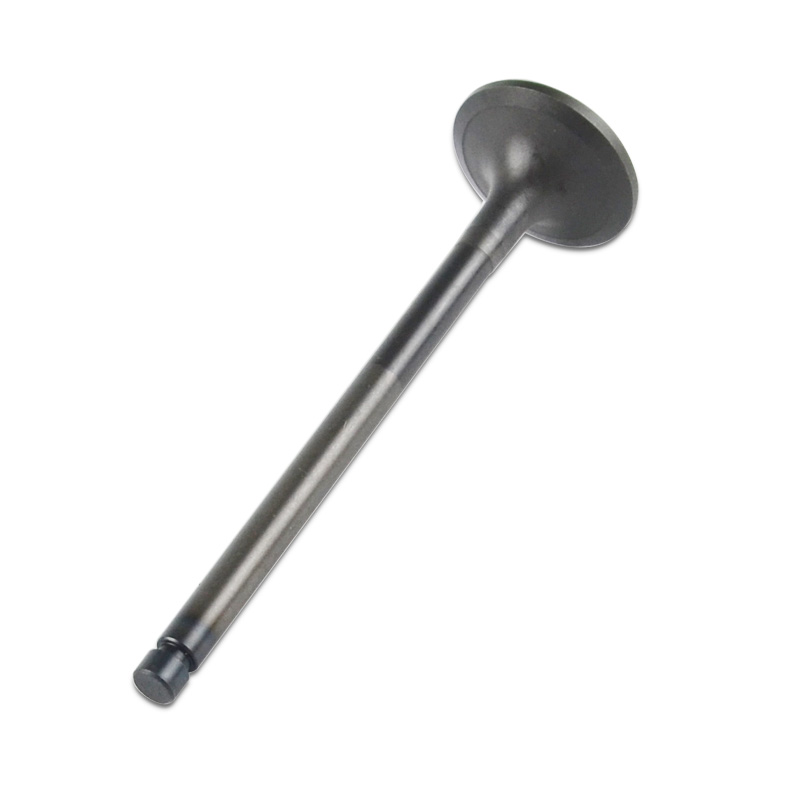Kompatibel mit 24572 Enging Valve