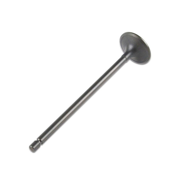Kompatibel mit 24573 Enging Valve