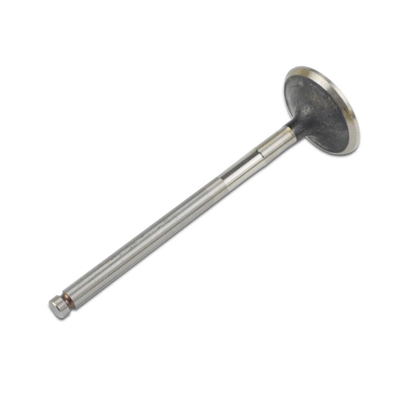 Kompatibel mit 24576 Enging Valve