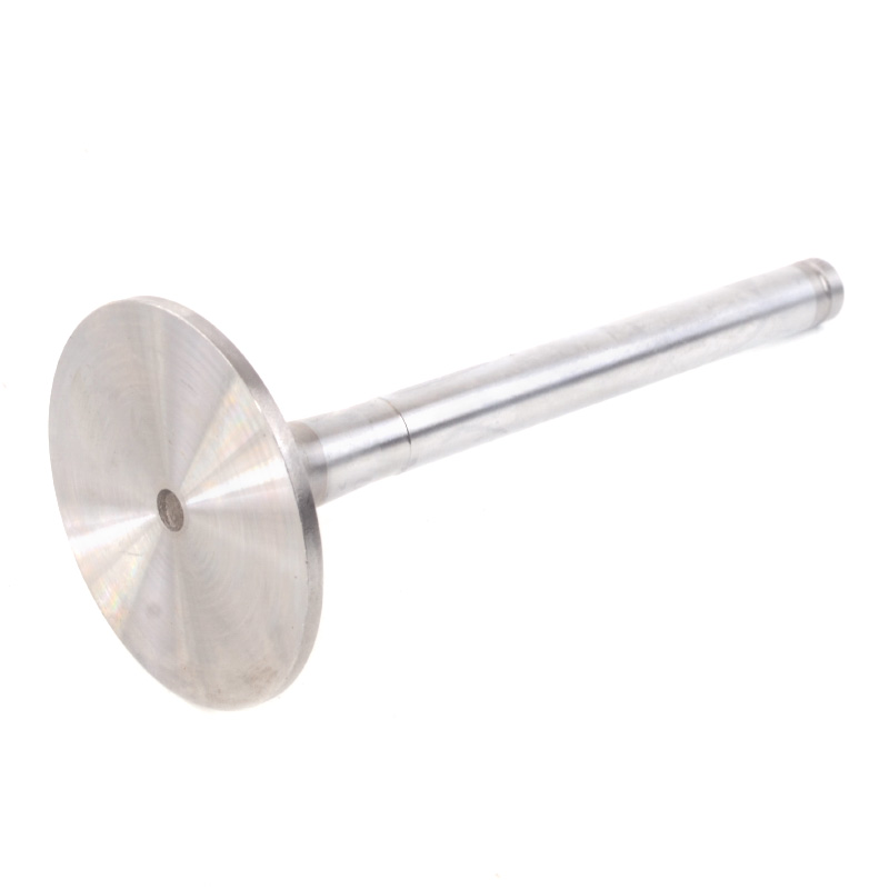 Kompatibel mit 24579 Enging Valve