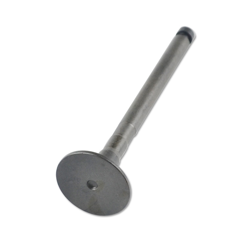 Kompatibel mit 24582 Enging Valve