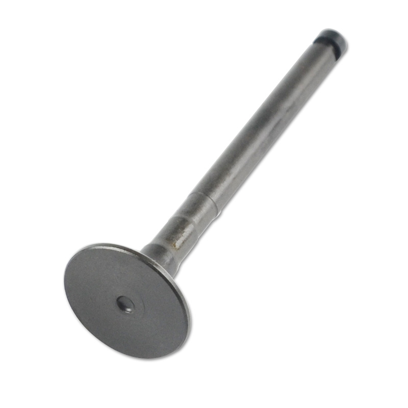 Kompatibel mit 24586 Enging Valve