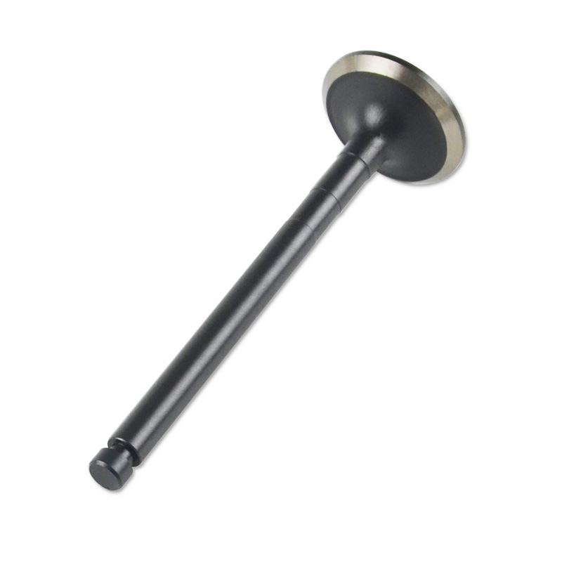 Kompatibel mit 24588 Enging Valve