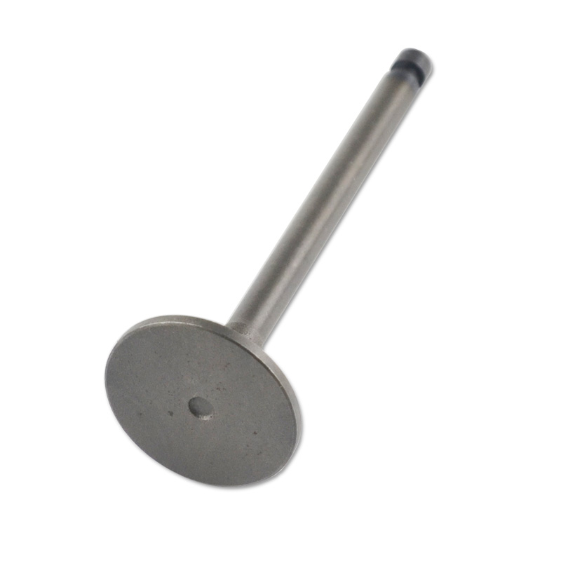 Kompatibel mit 24589 Enging Valve