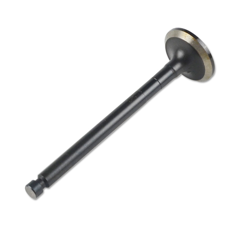 Kompatibel mit 24590 Enging Valve