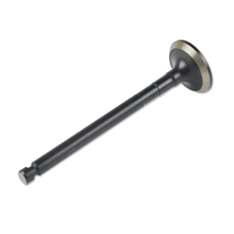 Kompatibel mit 24592 Enging Valve