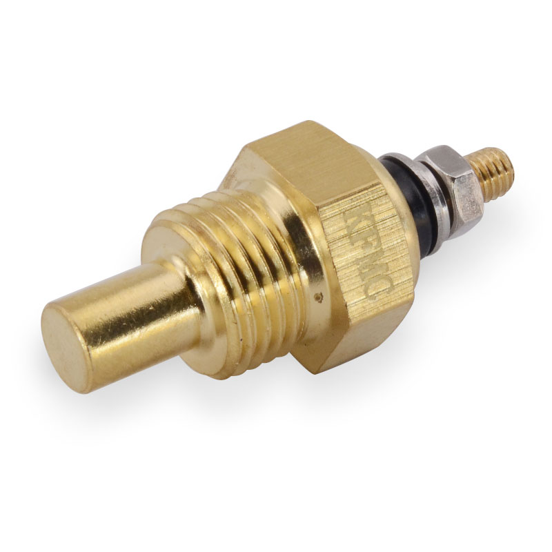 Kompatibel mit 25010 Wassertemperatursensor