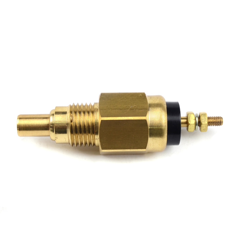 Kompatibel mit 28709 Wassertemperatursensor