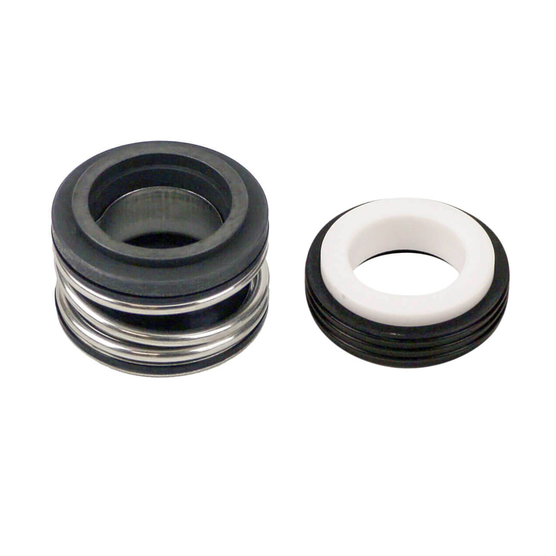 Optimiert für Astral Hurlcon Schwimmbadpumpe BX CTX E CX FX TX - 3/4" Mechanisches Siegel 9320600014278 75508 875 EP-550,EP-750,EP-930,EP-1100,EP-1500,SQI-300,SQI-400,SQI-500,SQI-600,SQI-700,BX, CTX, CX, E Series, FX,TX, Viron EVO Series,LTP550, LTP750, L