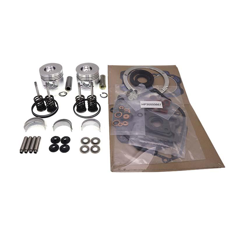 Kompatibel mit Aftermarket Lister Petter Engine Rebuild Kit Overhaul Kit für LPW2