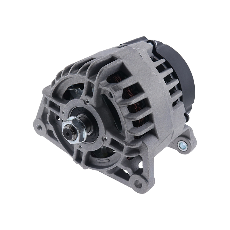 Kompatibel mit Perkins Motor 1004-40T 1004-42 1006-6 1006-60 1006-60T 1006-60T 1006-6T 11103A-33 1104A-44 12V 65A - Wechselstromrichter 2871A306 2871A30 102211-8160 1022118160 P00698 U85046501 TPN771 T414270 DENDAN653 185046501 185046500 102211-8161 10000