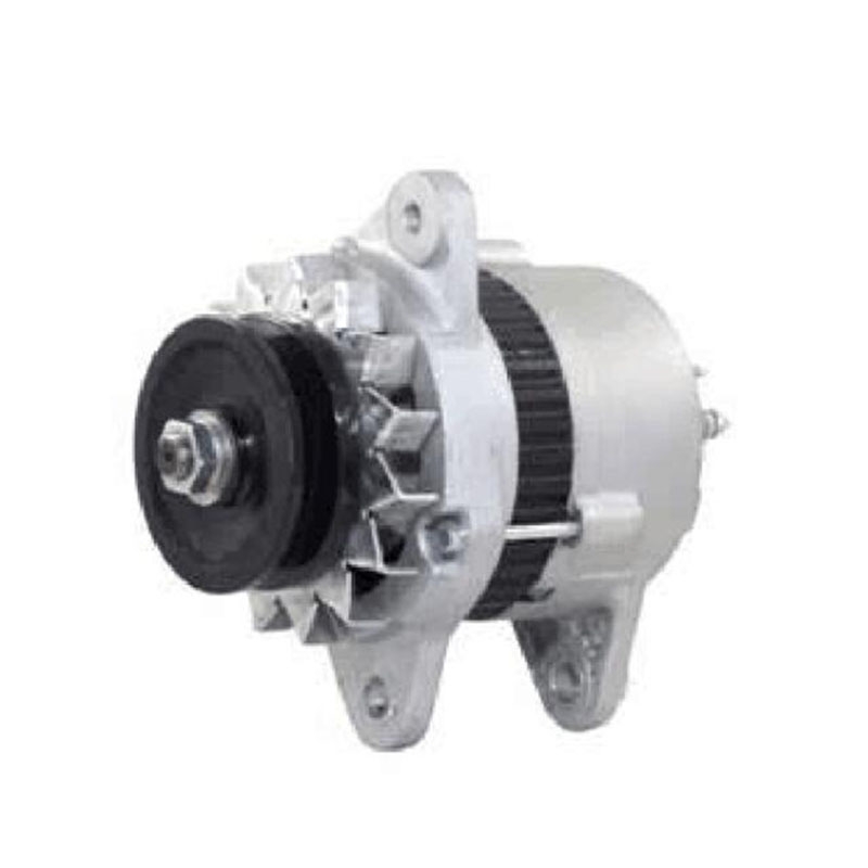 Speziell für Komatsu DCA-600SSK Generator SA6D170AE-1-D1 SA6D170-A-1J Motor 25A - Wechselstromgenerator 600-821-5660 6008215660 RM6008215660