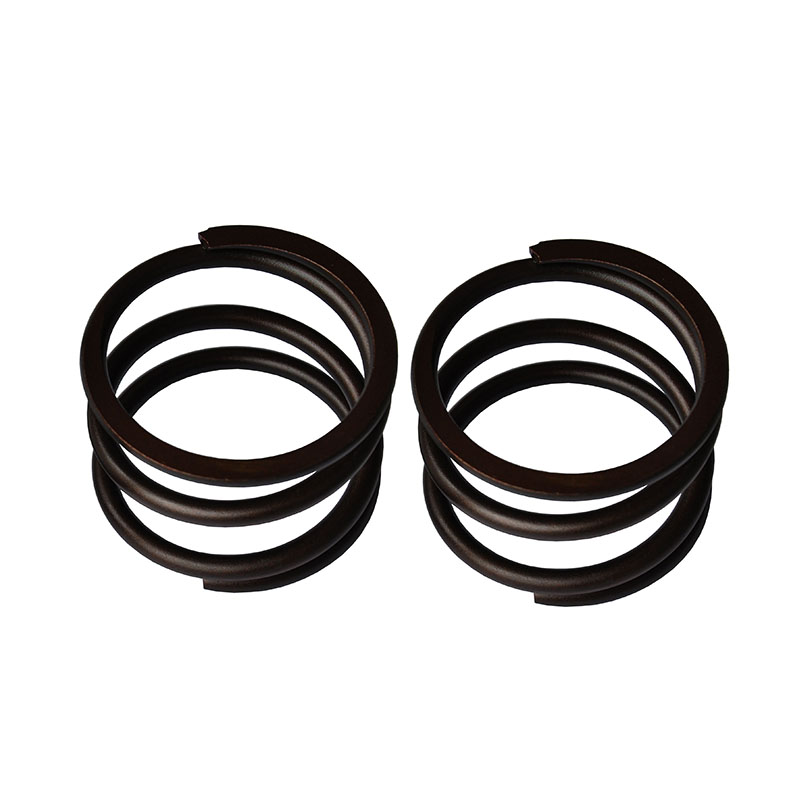 Geeignet für ZF Getriebegetriebe 4WG180 4WG200 - 2 PCS Kompressionsfeder 073204183 0732 041 183 0732-041-183 0732.041.183 4WG180, 4WG200, 6WG200