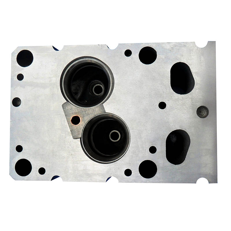 Ma?geschneidert für Weichai Motor WD615 - Zylinderkopf
