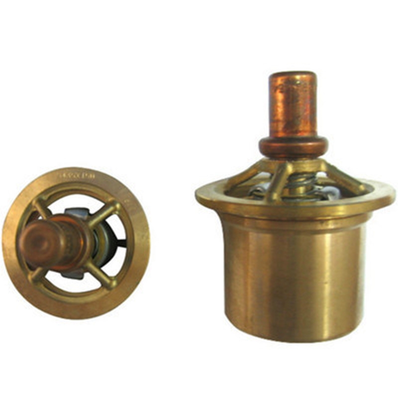 Perfekt für Ingersoll Rand - Element Thermostat 160 22125231