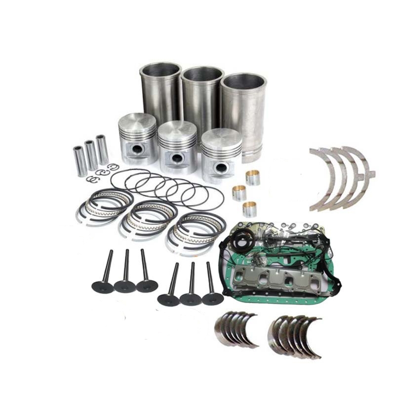 Engine D650 Overhaul Rebuild Kit for Kubota Utility Tractor B6001 B6100 B6100HST
